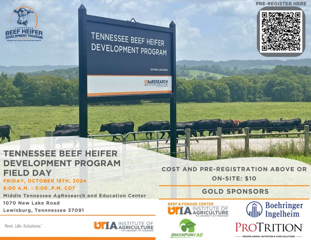 2024 TN Beef Heifer Development Program poster