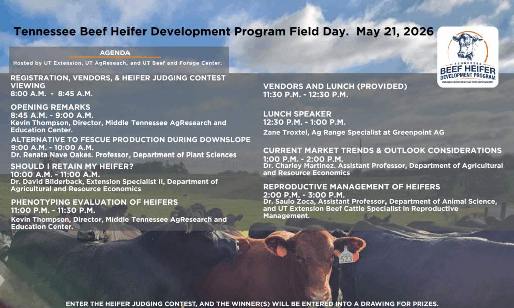 Agenda for the 2026 Tennessee Beef Heifer Development Program Field Day on May 21st